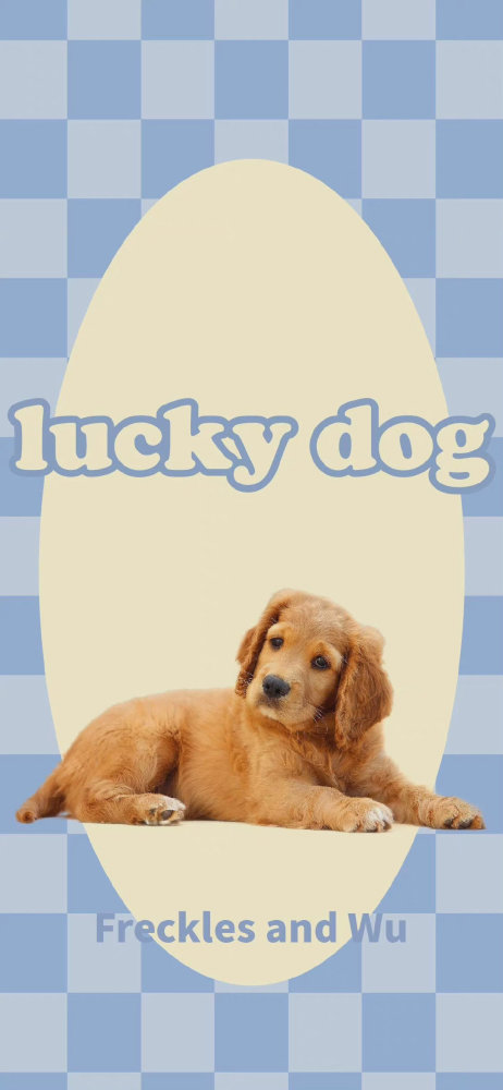 lucky dog 修勾壁纸太爱了