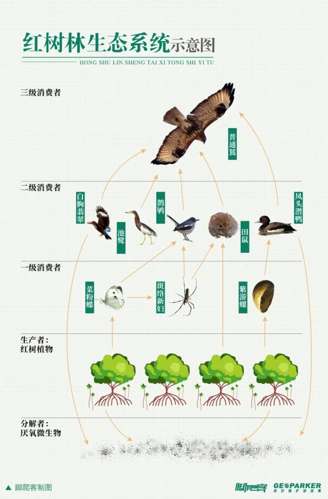 屏幕截图 软件窗口截图 657_1000 竖版 竖屏