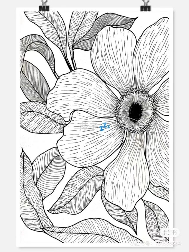 素材分享|植物主题创意线描装饰写生范本,画完它们你