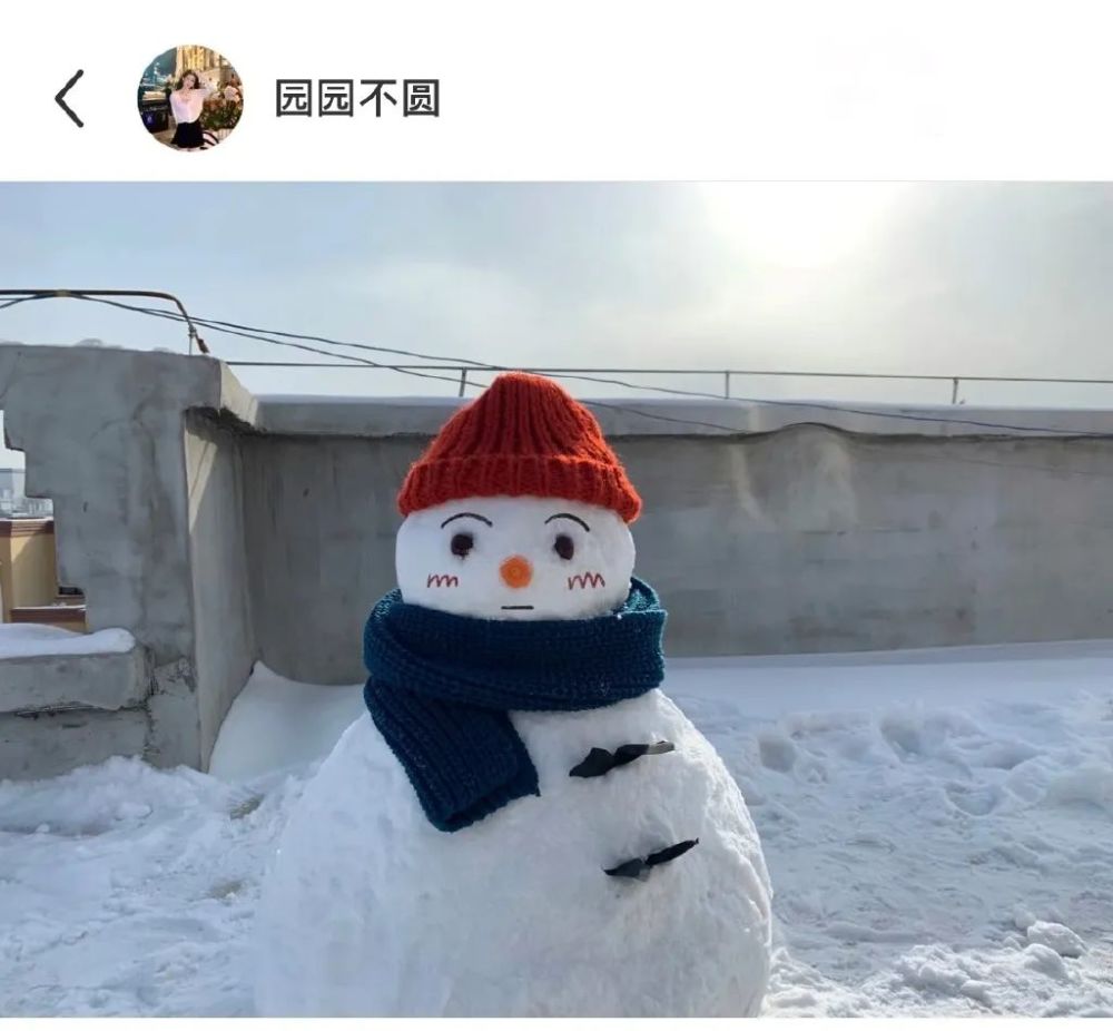 见多了花里胡哨的奇怪雪人今天就来看点可可爱爱的