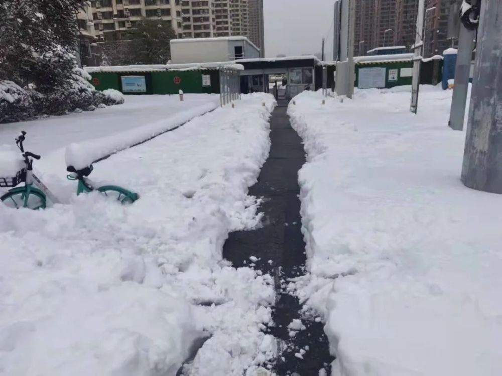 11月7日至10日,沈阳市出现历史罕见的特大暴雪天气,冻雨,大雪强势
