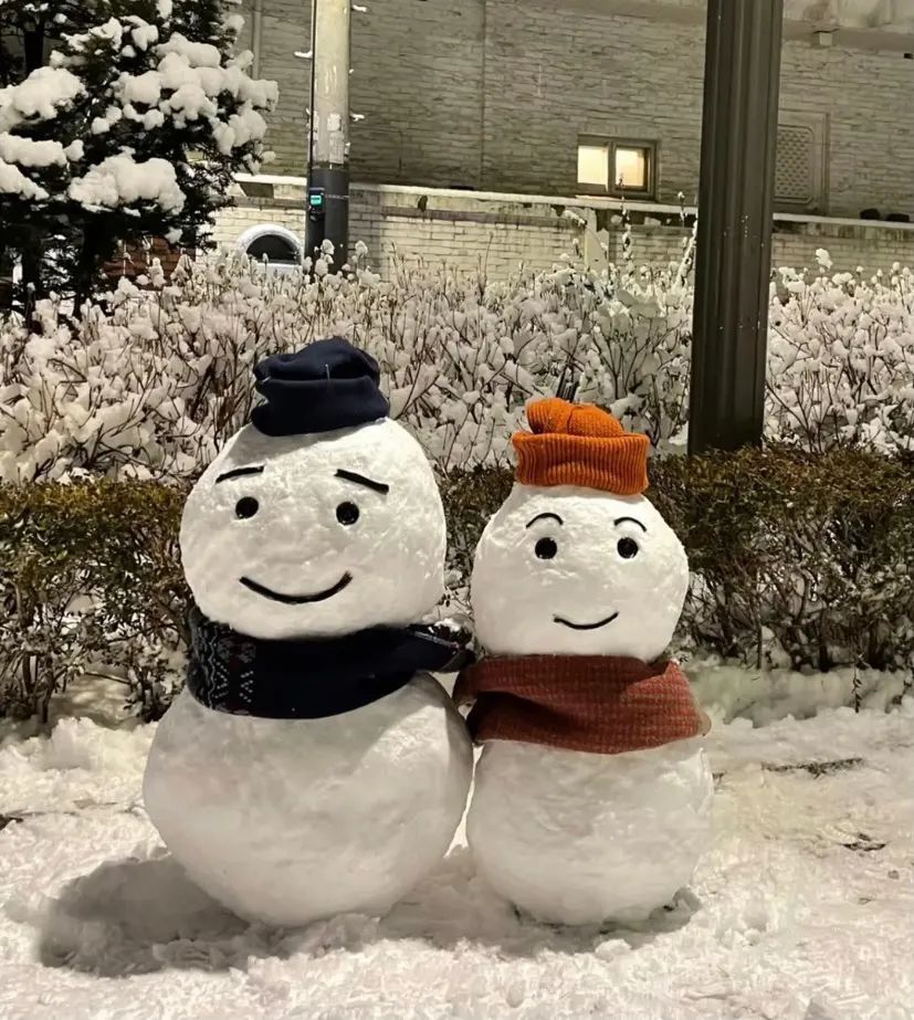 冬季可爱雪人大赏这一个个都是灵魂堆手吧