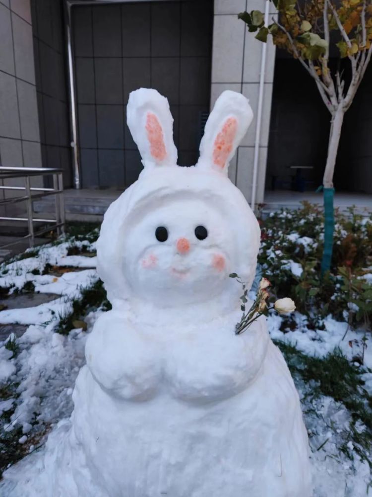 冬季可爱雪人大赏这一个个都是灵魂堆手吧