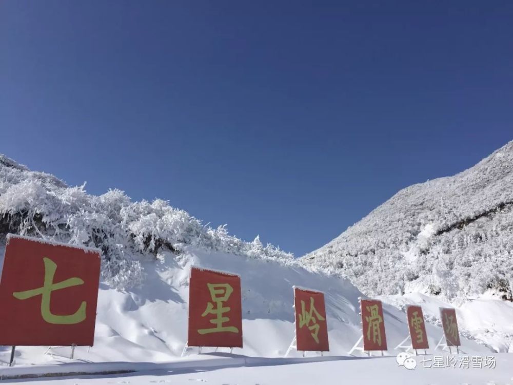 七星岭滑雪场开园日-2022年1月31日前 【预订须知】 *订票人:需提供