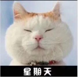 接下来请接收一周表情包大家周末愉快!一周的时间过得好快
