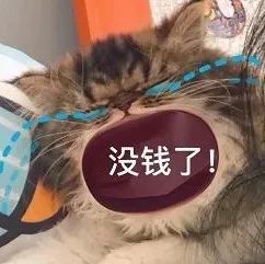 表情包丨讨生活费&妈宝女专用