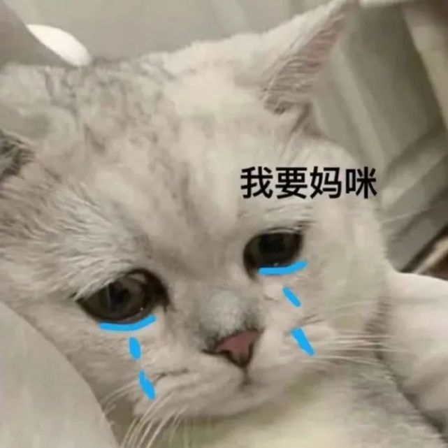 表情包丨讨生活费&妈宝女专用