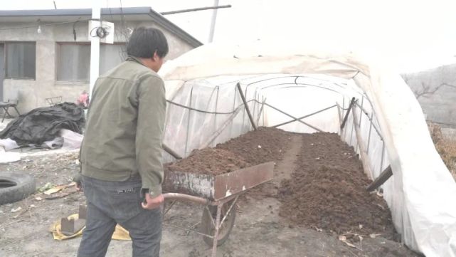 迁西:蚯蚓特色养殖实现环保效益和经济效益双丰收