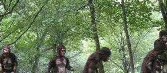 中国女兵从野人山撤退,途中惨遭野人俘虏,竟比日军