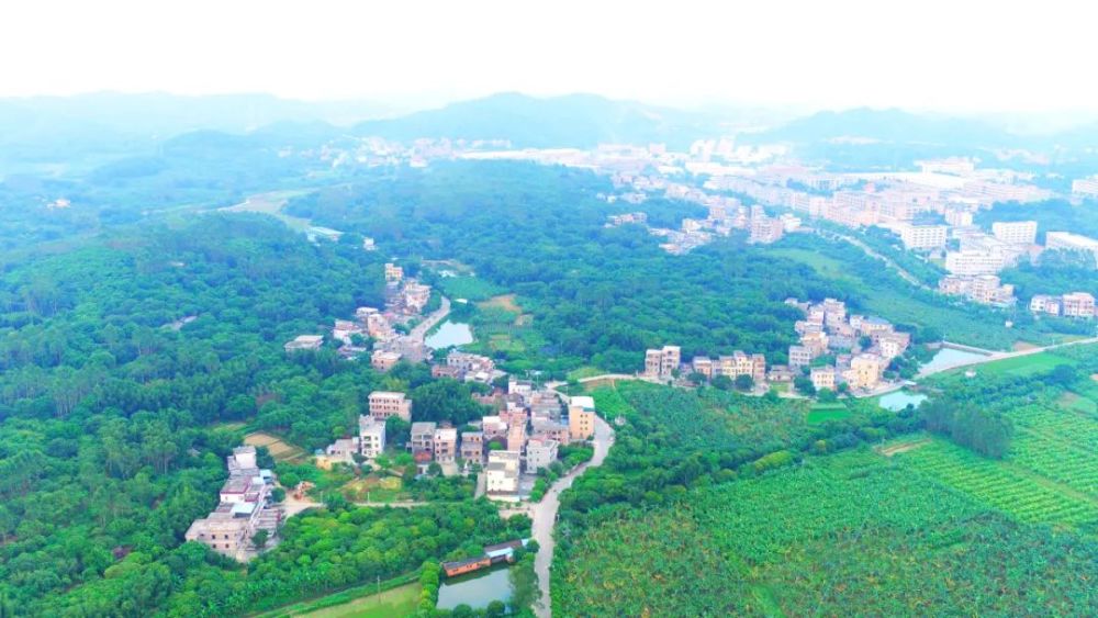 龙角村位于增城中心城区北部,北邻棠厦村,西与木潭村毗邻,南联桥头村