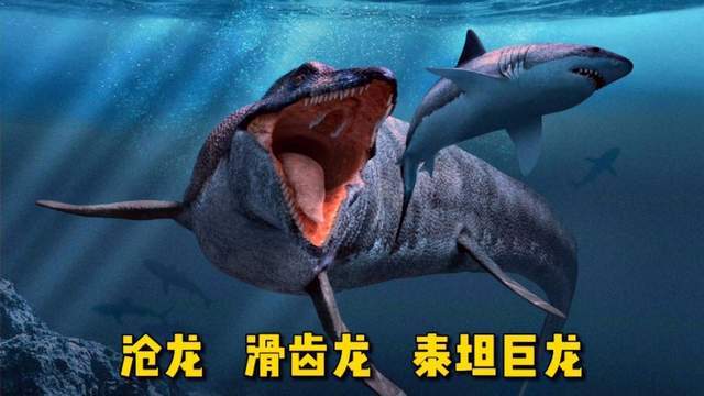 今天队长就带领大家来到史前世纪,近距离观察这些巨兽,感兴趣的朋友