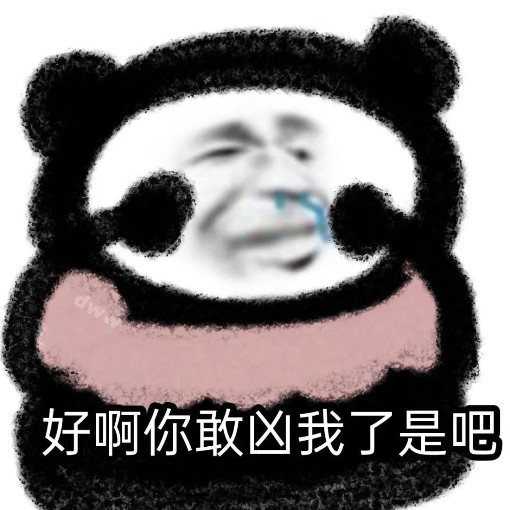 沙雕必备熊猫头