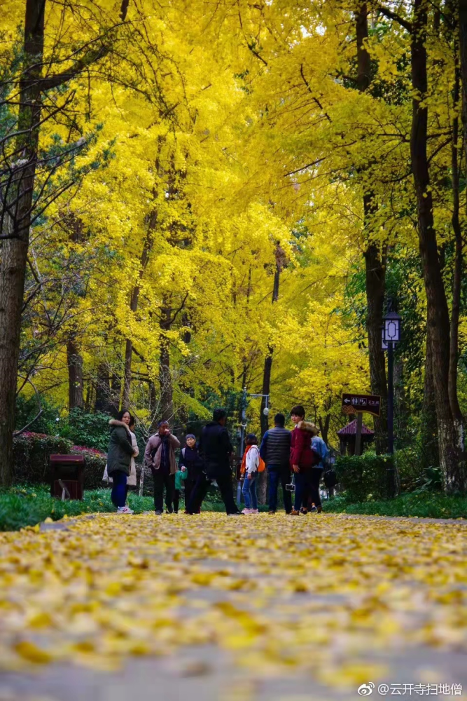 「百花潭公园」 "万里桥西一草堂,百花潭水即沧浪"