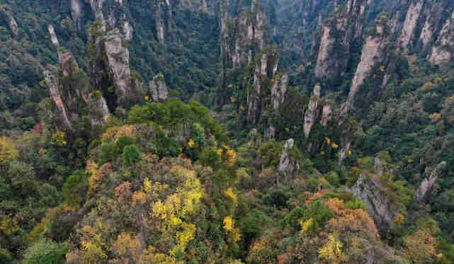 环境湖南张家界峰林色彩斑斓景色美