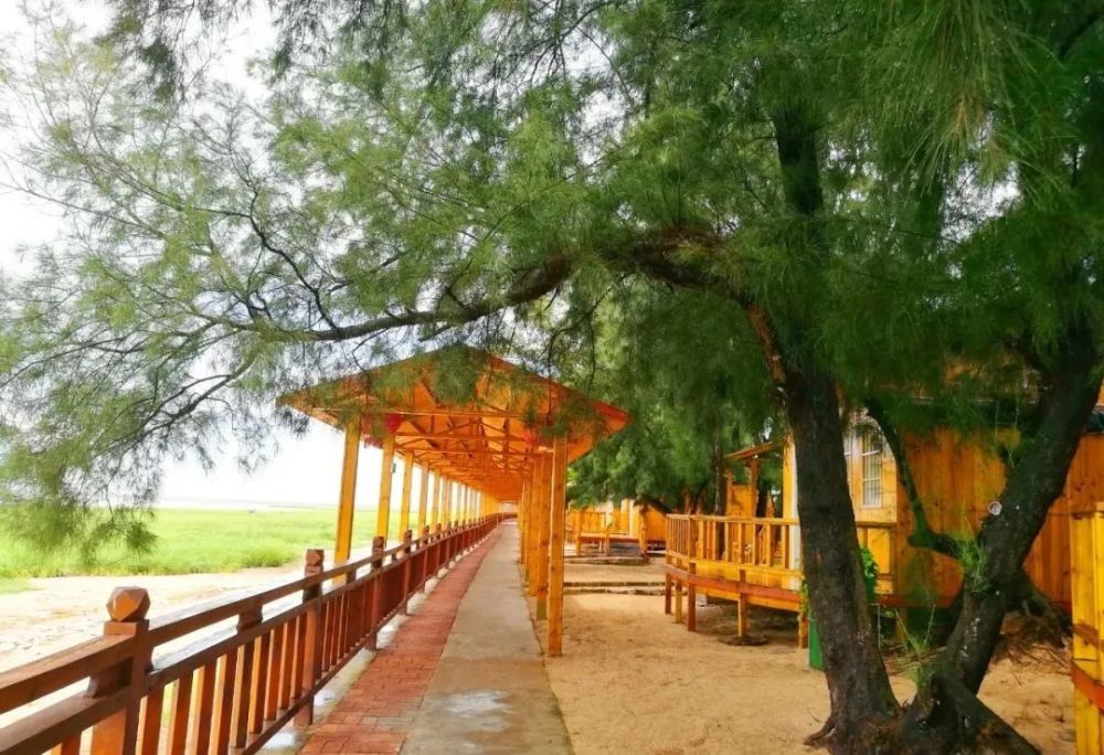 北海石桥塘,赤西,青山头三个村获评广西乡村旅游重点村