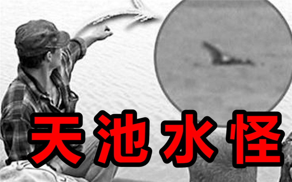 长白山天池惊现"怪兽",有记载的就有30多次,目击者多达上千人
