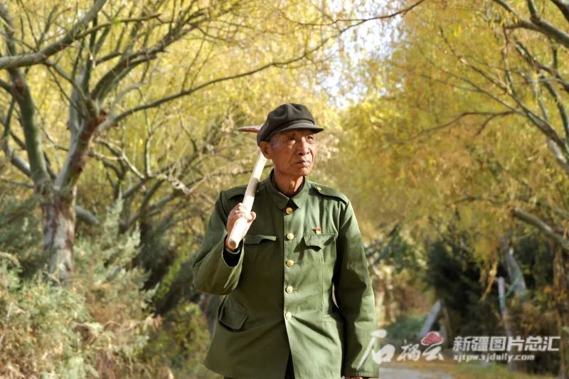 崇德向善 明礼敬贤丨王成帮"造林英雄"的绿色情怀