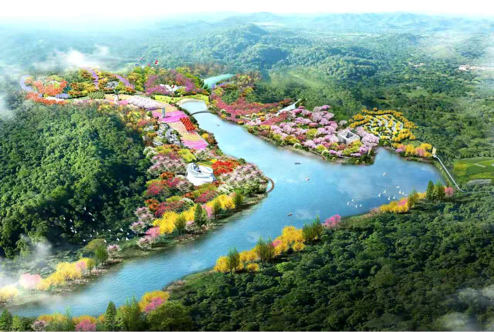 超3000个观花植物品种!来马岭观花植物园徜徉花海