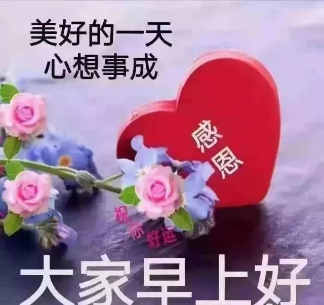 微信早上好漂亮的文字祝福图片清晨祝福早上好的动态美图