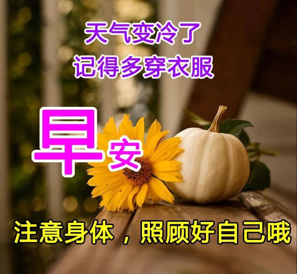 12月最新冬日天冷关心问候大家早上好动画表情图片带祝福语