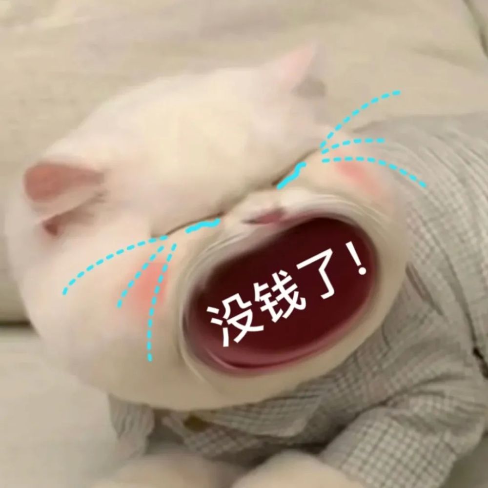 叫人小猫咪表情包:没钱了