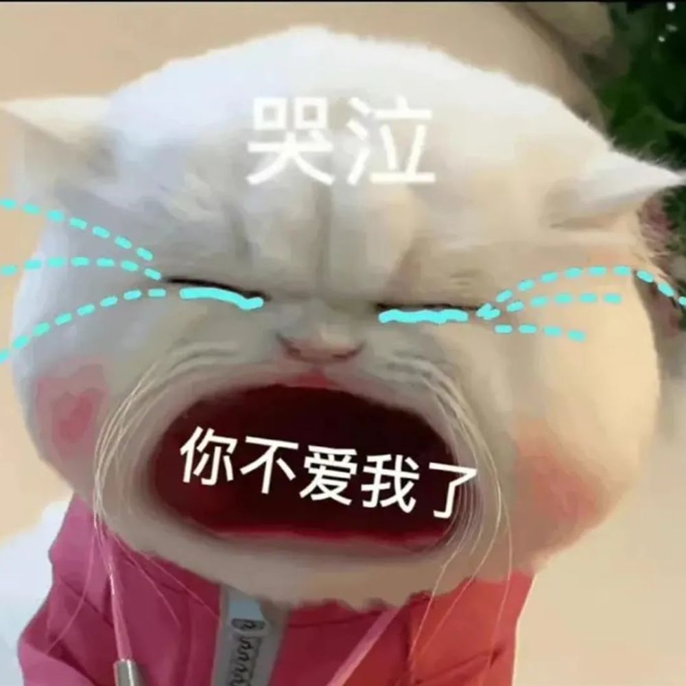 叫人小猫咪表情包没钱了