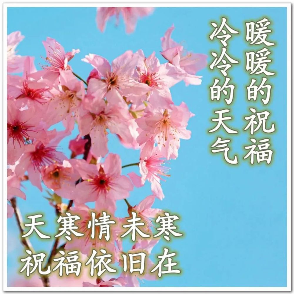 冬日风景早上好祝福语问候语带动态表情图片 冬日大家早安