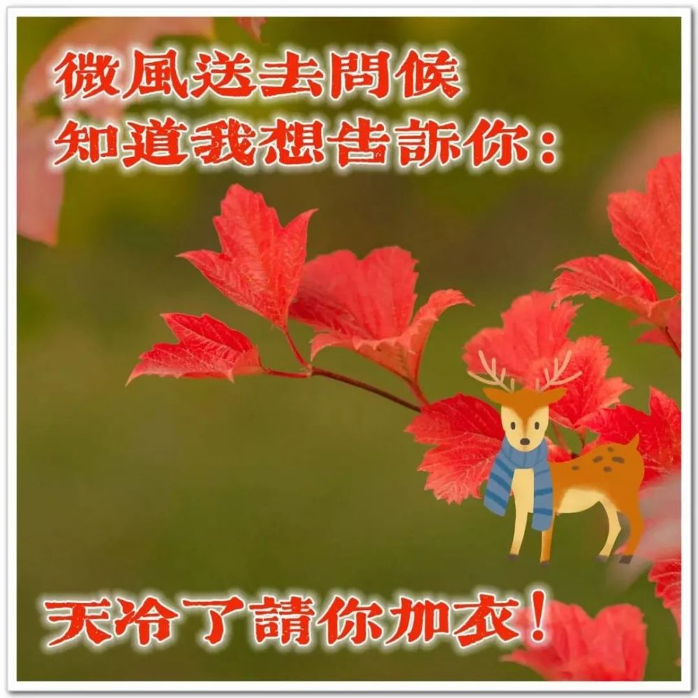 送朋友暖心的祝福语早安句子早上好问候语图片大全