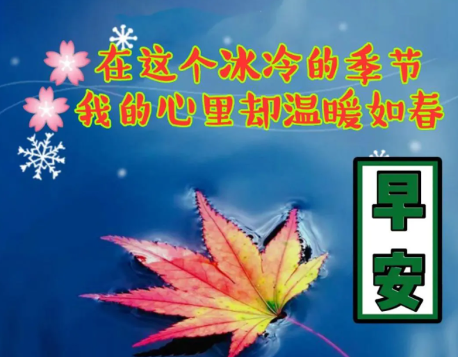 2021年11月13日清晨早上好问候祝福动态表情图片最新早安问候祝福图片