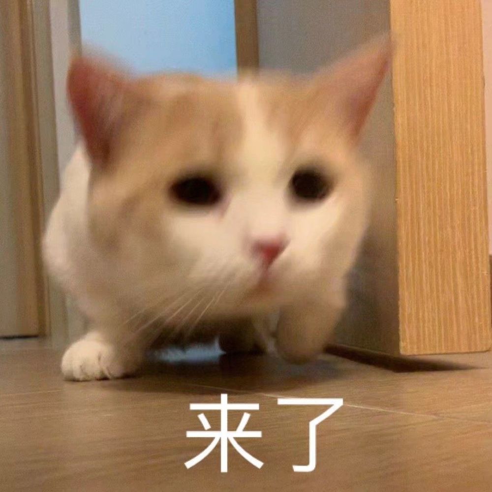 沙雕qq自动回复