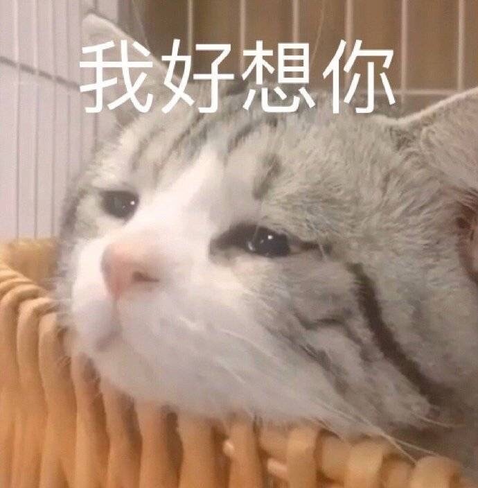 沙雕qq自动回复