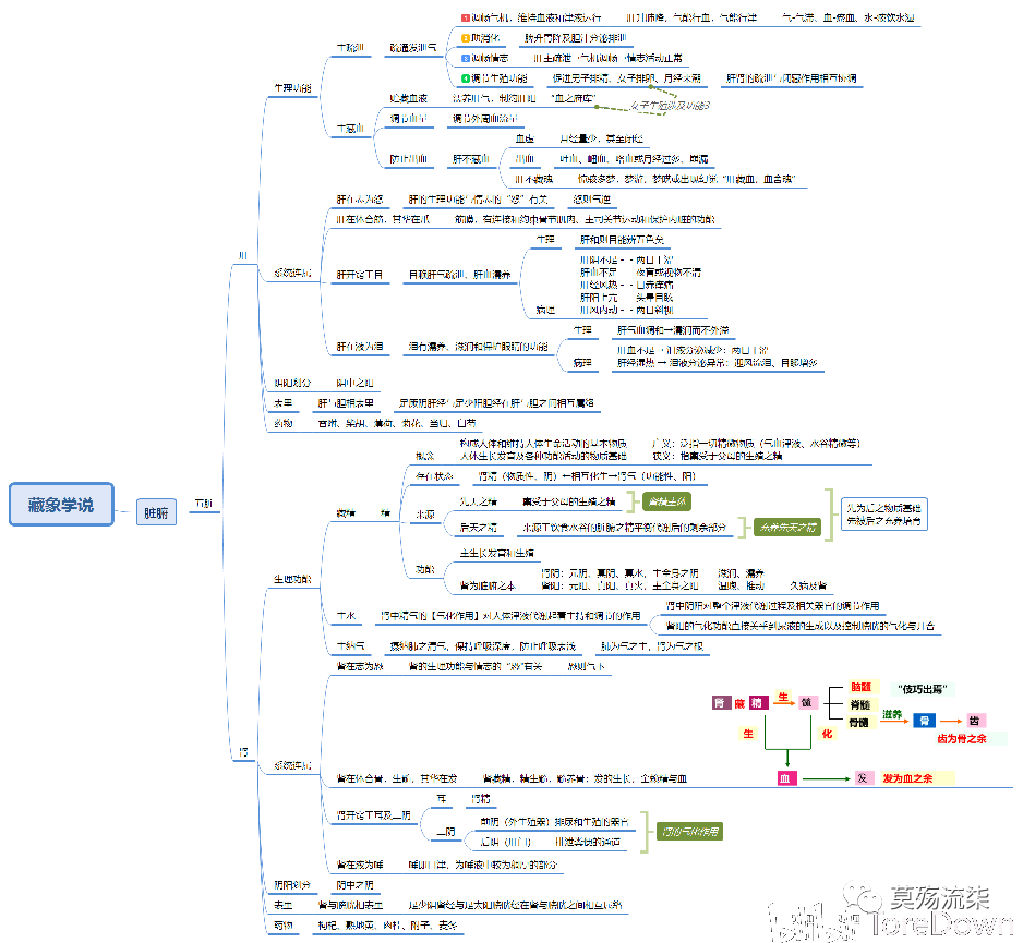 藏象—五脏  思维导图 (点图片放大可更好查阅)