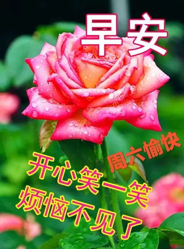 非常漂亮周六早上好表情图片早上好问候语