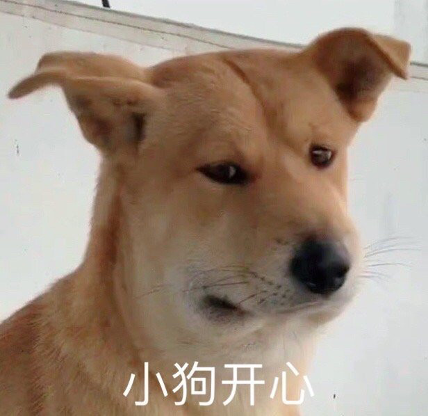 一组搞笑实用表情包