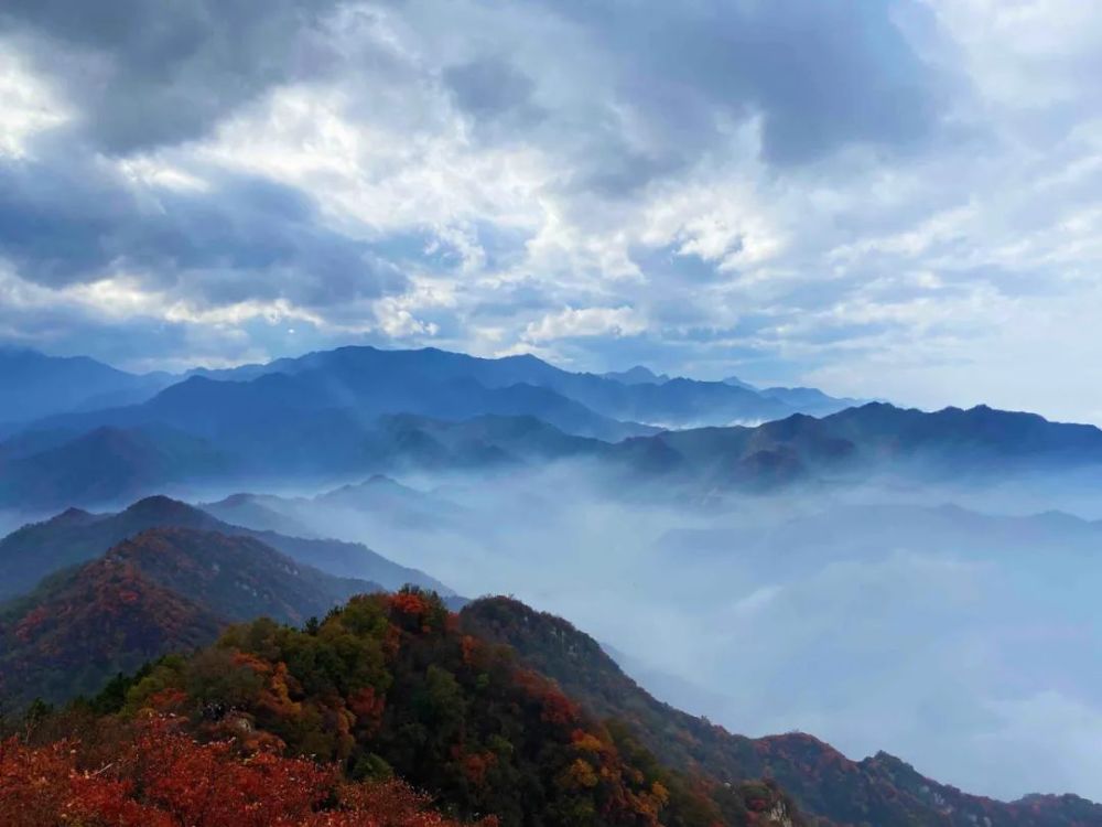 被誉为"秦岭最美红叶观赏地"!漫山遍野红透了!错过再等一年!