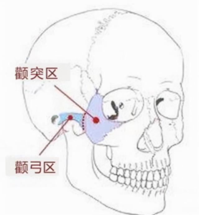 龙角骨指的是眉毛上方向两边延伸的骨头,龙角骨饱满的人在相术中性格