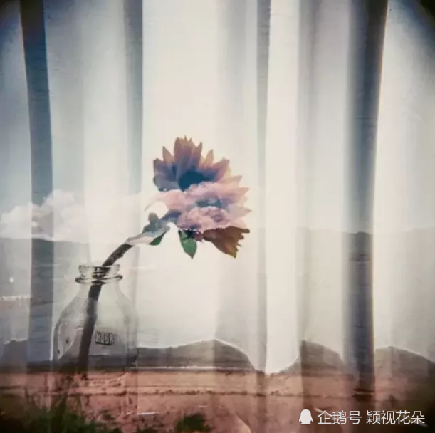 家人,不应该承受我们的坏脾气,亲人,不应该成为我们的出气筒,从失望