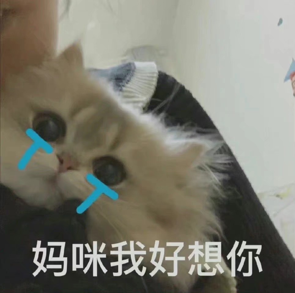 适合发给妈妈的表情包
