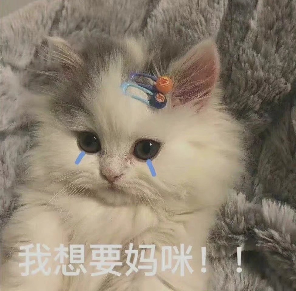 适合发给妈妈的表情包