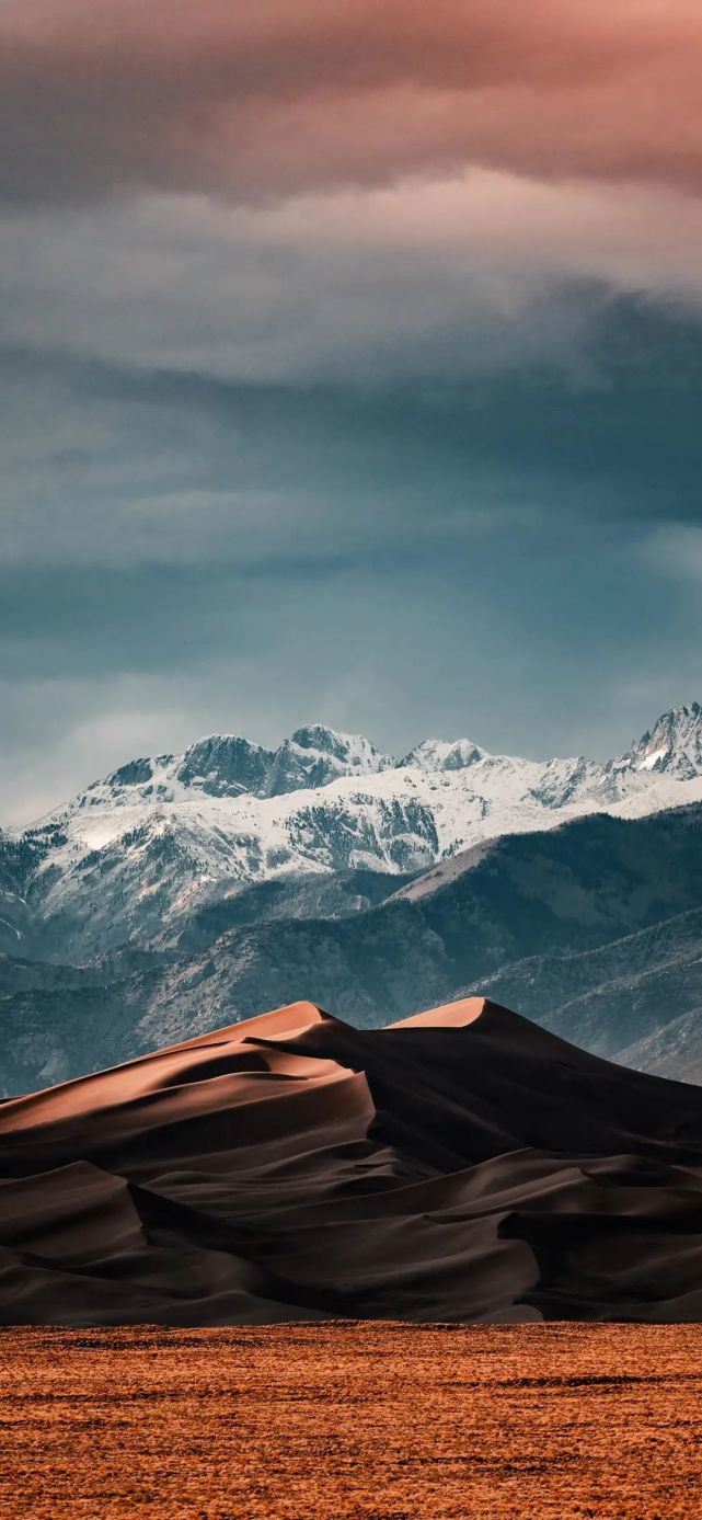 壁纸|全屏手机壁纸