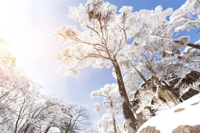 悬赏长春最美公园雪景