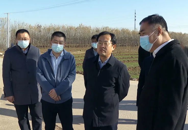 昨天下午(11月12日,区政府党组书记,代区长张建宇深入上仓镇推动经济