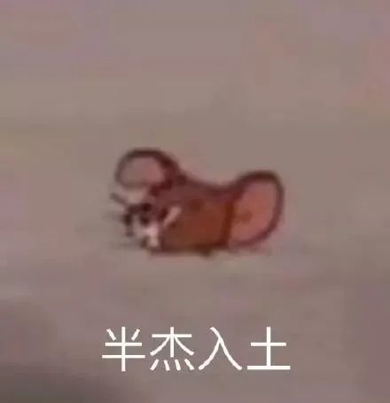 表情包猫和老鼠汤姆杰瑞系列