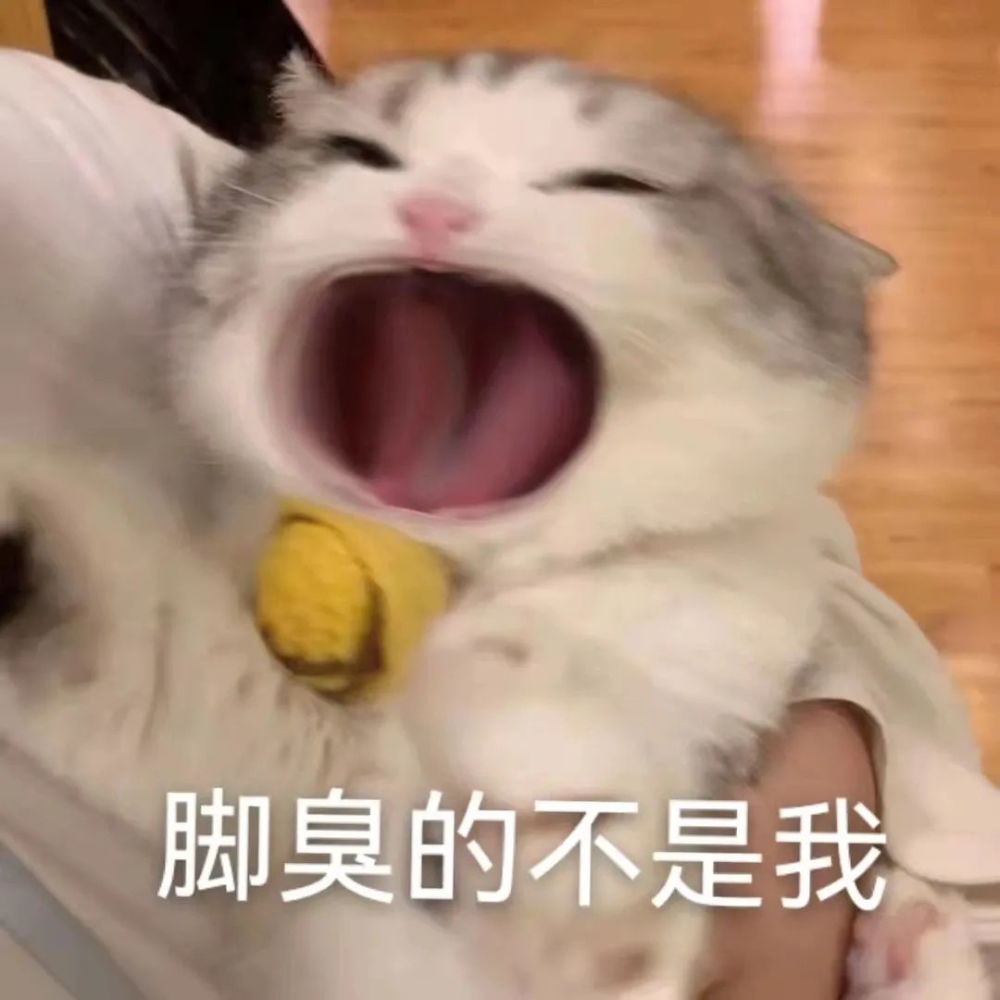 搞笑表情包你脚臭你脚臭