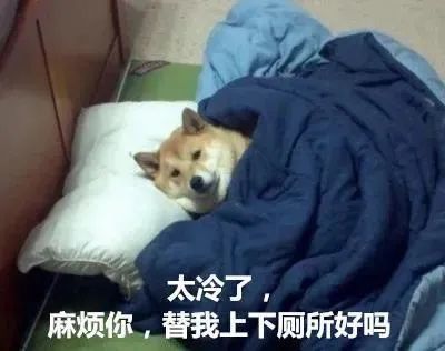 搞笑表情包这个月又要吃土了