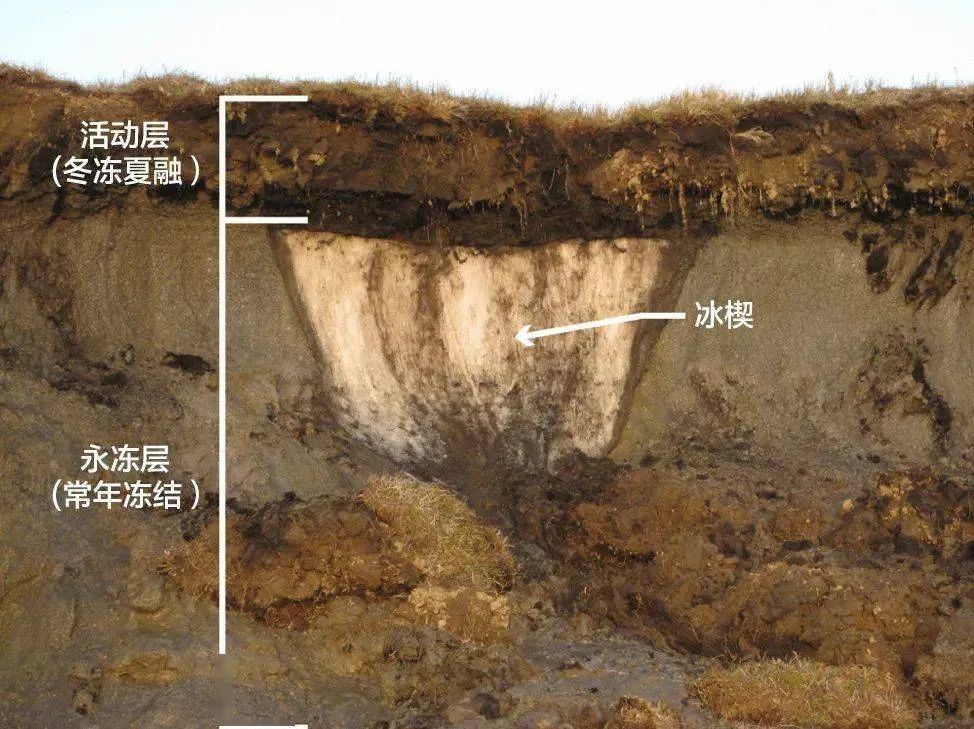 在外观上,这样凹陷不平的表面和喀斯特地区崎岖的地表有些类似,所以