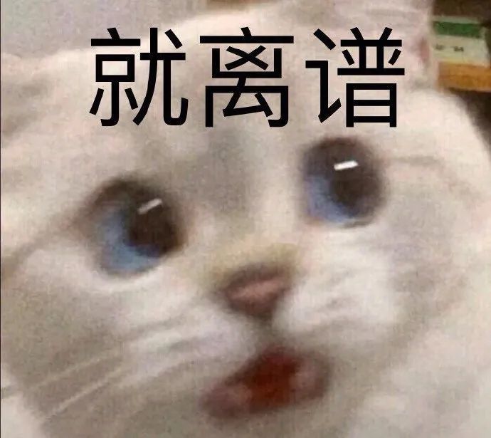 表情包精选:我怀疑你有猫病_腾讯新闻