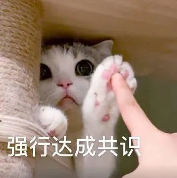表情包强行达成共识