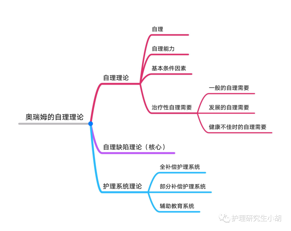 20世纪70年代 理论的 稳定发展期:20世纪80年代后 五,奥瑞姆的自理