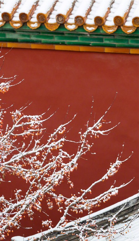 2021故宫雪景手机壁纸大图故宫唯美雪景高清壁纸